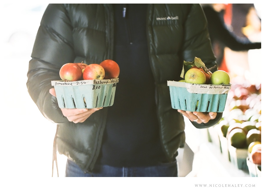 nicole haley photography - leelanau peninsula 07 nicole haley photography, christmas cove farm, fall on leelanau, film photography