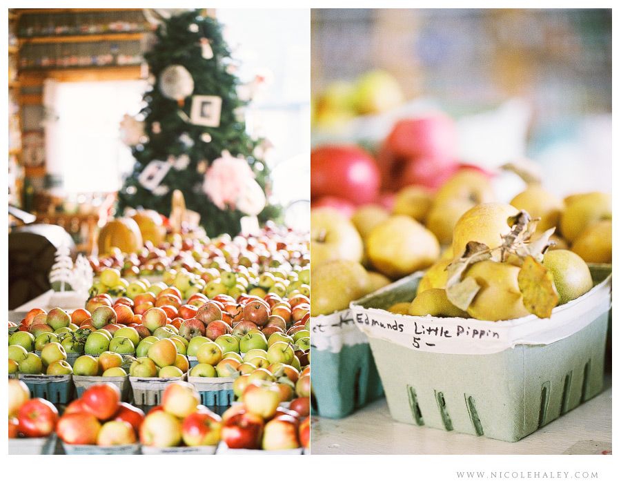 nicole haley photography - leelanau peninsula 08 nicole haley photography, christmas cove farm, fall on leelanau, film photography