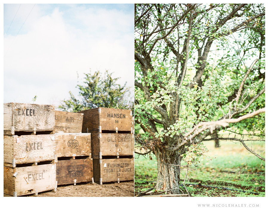 nicole haley photography - leelanau peninsula 10 nicole haley photography, christmas cove farm, fall on leelanau, film photography