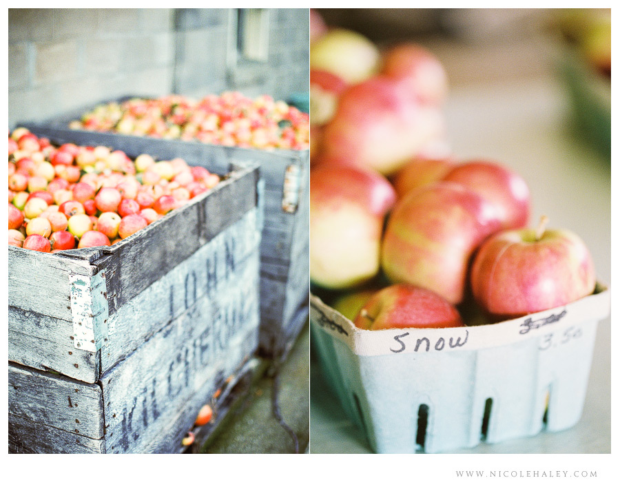 nicole haley photography - leelanau peninsula 12 nicole haley photography, christmas cove farm, fall on leelanau, film photography