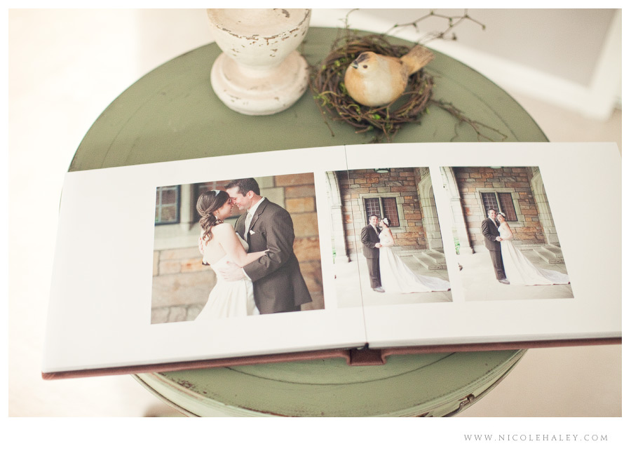 michigan wedding photographer, nicole haley photography