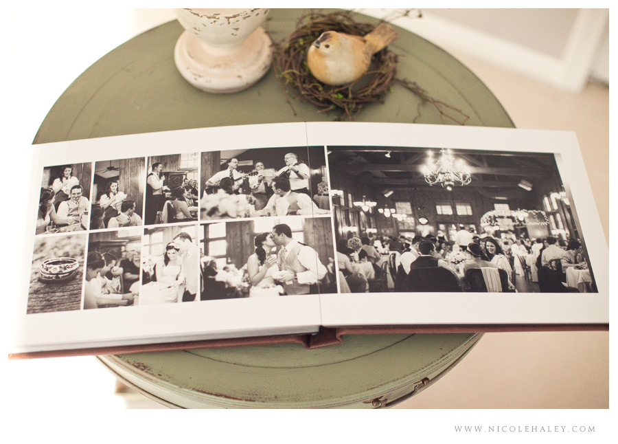 michigan wedding photographer, nicole haley photography