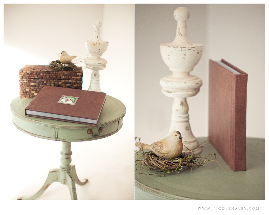 michigan wedding photographer, nicole haley photography