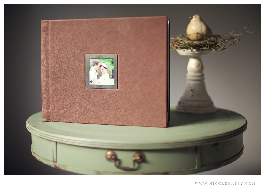 michigan wedding photographer, nicole haley photography