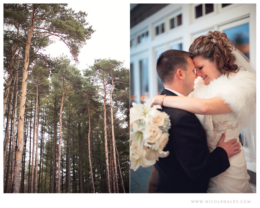 michigan winter wedding, oakhurst golf club, nicole haley photography