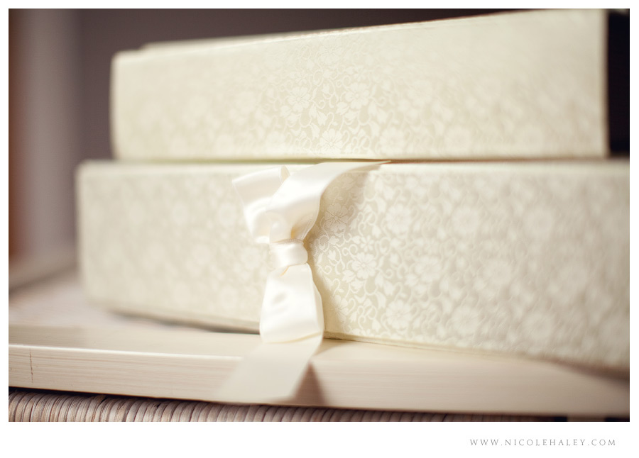 nicole haley photography _ book cloth album01 ann arbor wedding photographer, silk book cloth album