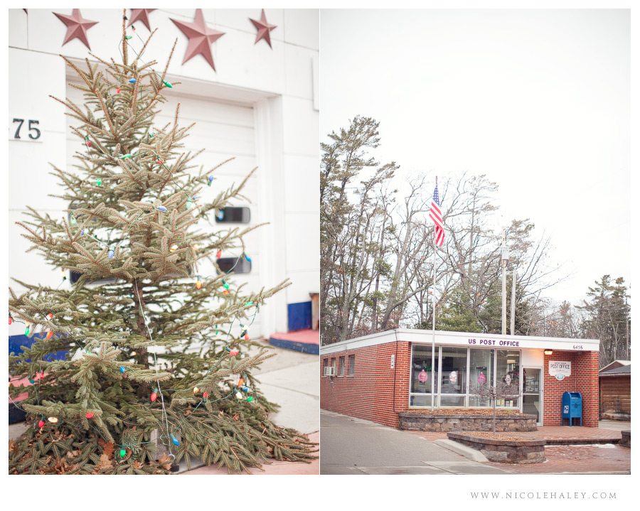 nicole haley photography _ leelanau 08 nicole haley photography, glen arbor