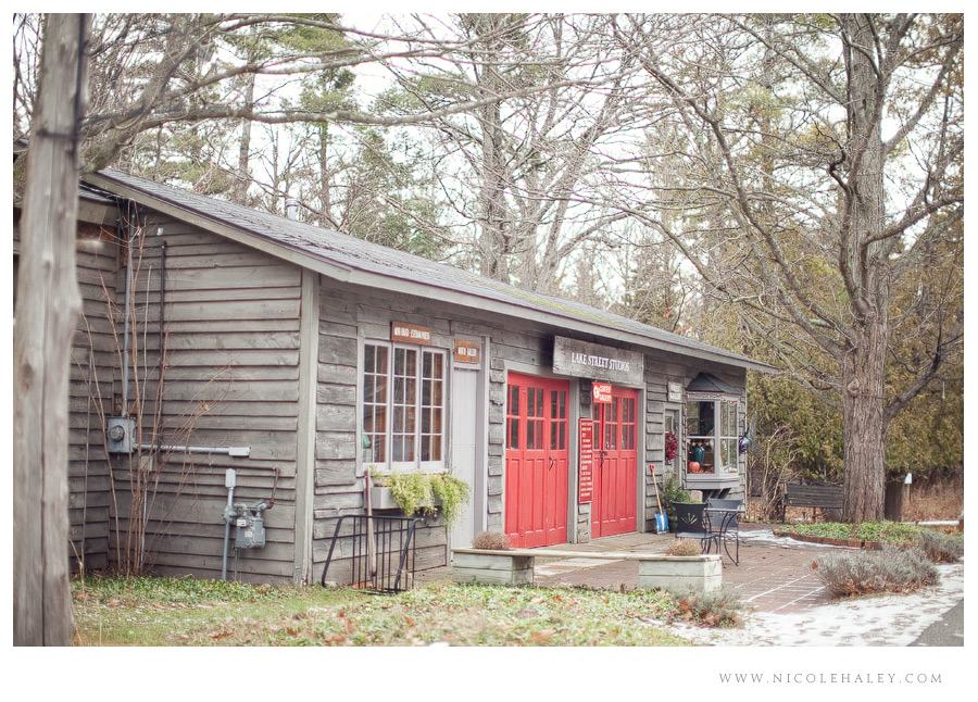 nicole haley photography _ leelanau 09 nicole haley photography, lake street studios, glen arbor