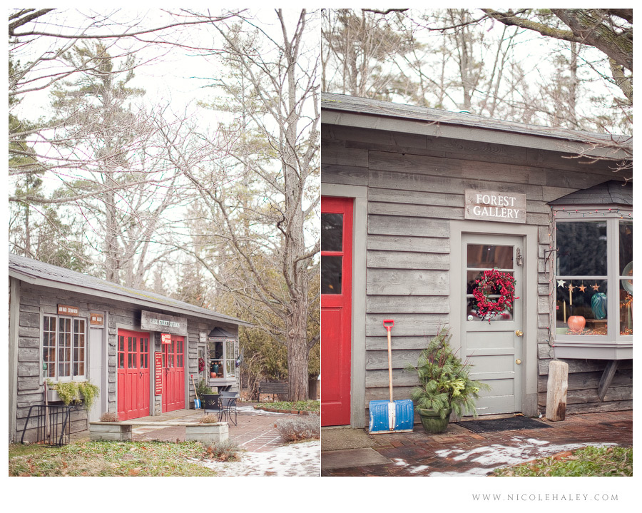 nicole haley photography _ leelanau 10 nicole haley photography, lake street studios, glen arbor