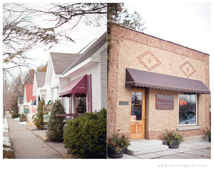 nicole haley photography _ leelanau 14 nicole haley photography, verterra winery, leland