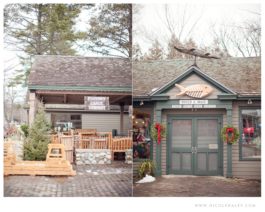 nicole haley photography _ leelanau 15 nicole haley photography, leland