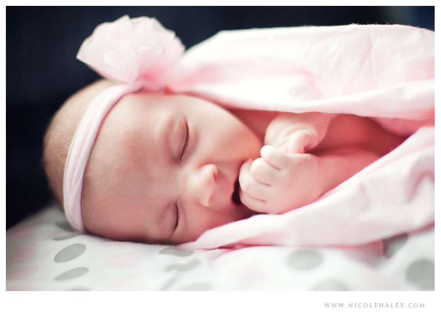 ann arbor newborn photography 01 Ann Arbor newborn photographer, Nicole Haley Photography