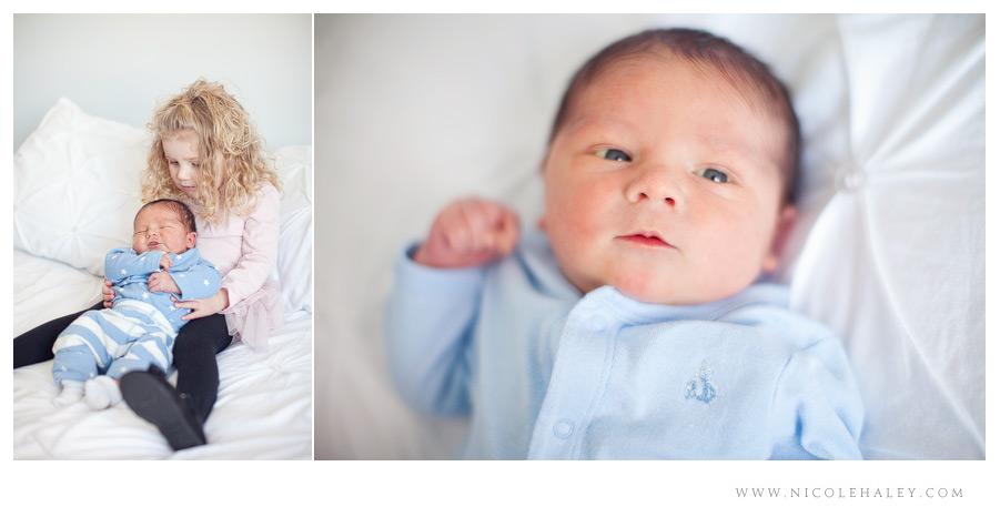 ann arbor newborn photography 03 ann arbor newborn photographer, nicole haley photography