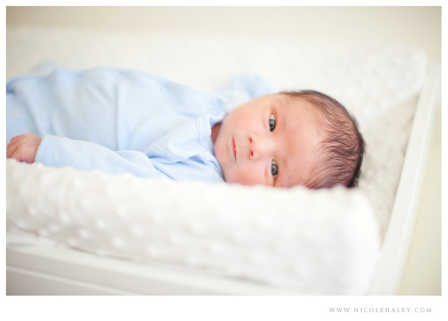 ann arbor newborn photography 04 ann arbor newborn photographer, nicole haley photography