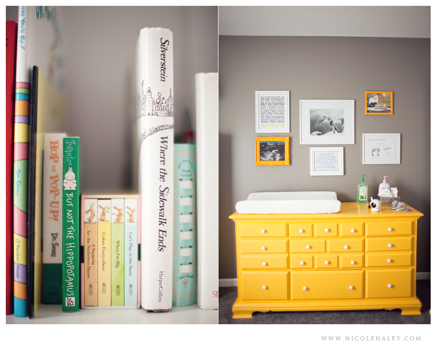 ann arbor newborn photography 04 Ann Arbor newborn photographer, Nicole Haley Photography