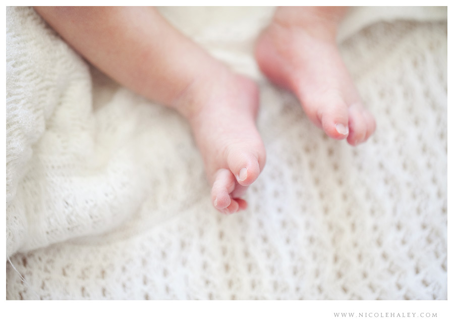 ann arbor newborn photography 05 ann arbor newborn photographer, nicole haley photography