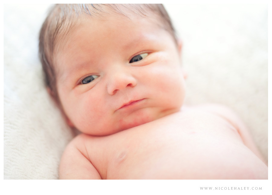 ann arbor newborn photography 06 ann arbor newborn photographer, nicole haley photography