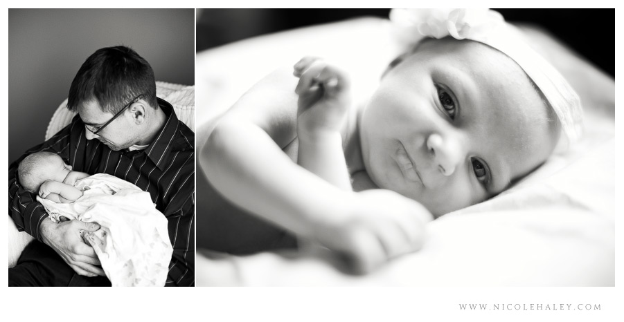 ann arbor newborn photography 06 Ann Arbor newborn photographer, Nicole Haley Photography