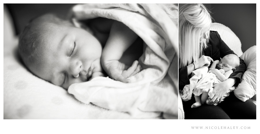 ann arbor newborn photography 07 Ann Arbor newborn photographer, Nicole Haley Photography