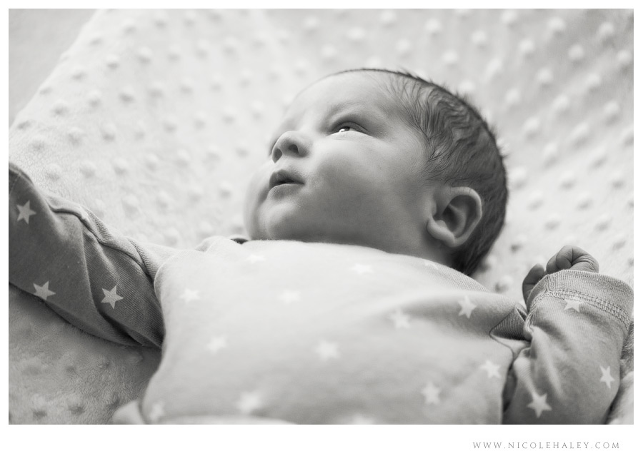 ann arbor newborn photography 11 ann arbor newborn photographer, nicole haley photography