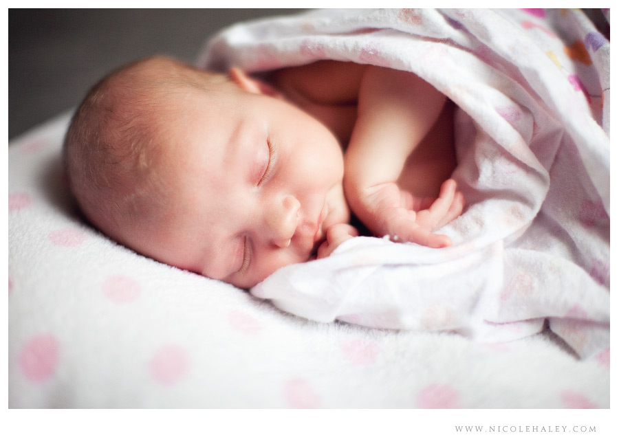 ann arbor newborn photography 11 Ann Arbor newborn photographer, Nicole Haley Photography