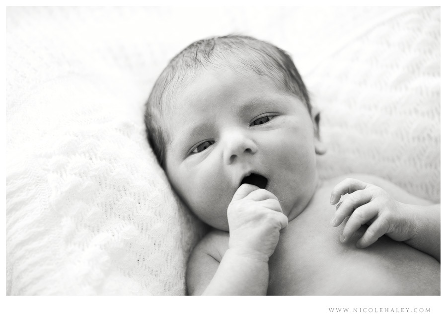 ann arbor newborn photography 12 ann arbor newborn photographer, nicole haley photography