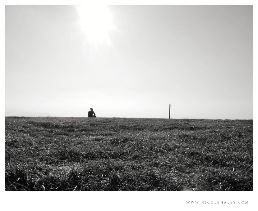 max patch 2007 nicole haley photography, max patch, appalachian trail
