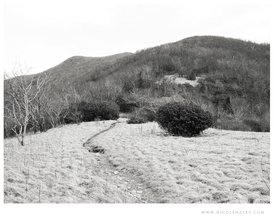 appalachian trail - smokies