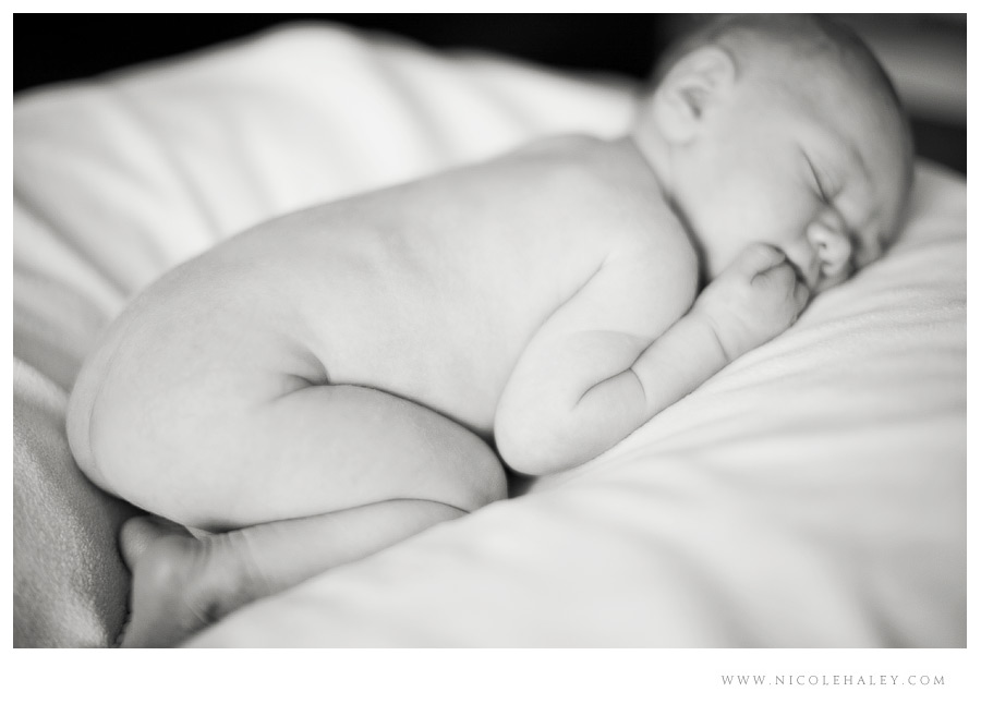 ann arbor newborn photographer