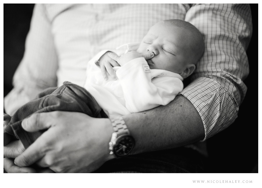 ann arbor newborn photographer