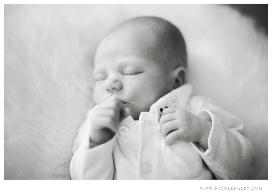 ann arbor newborn photographer