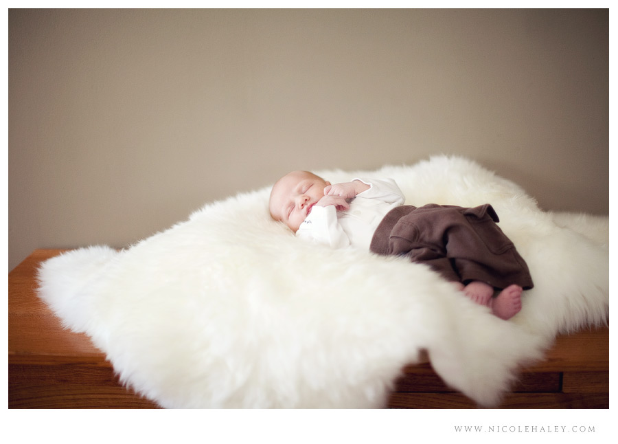 ann arbor newborn photographer