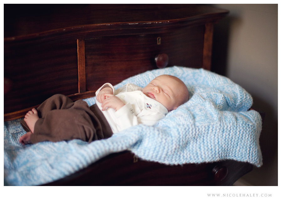 ann arbor newborn photographer