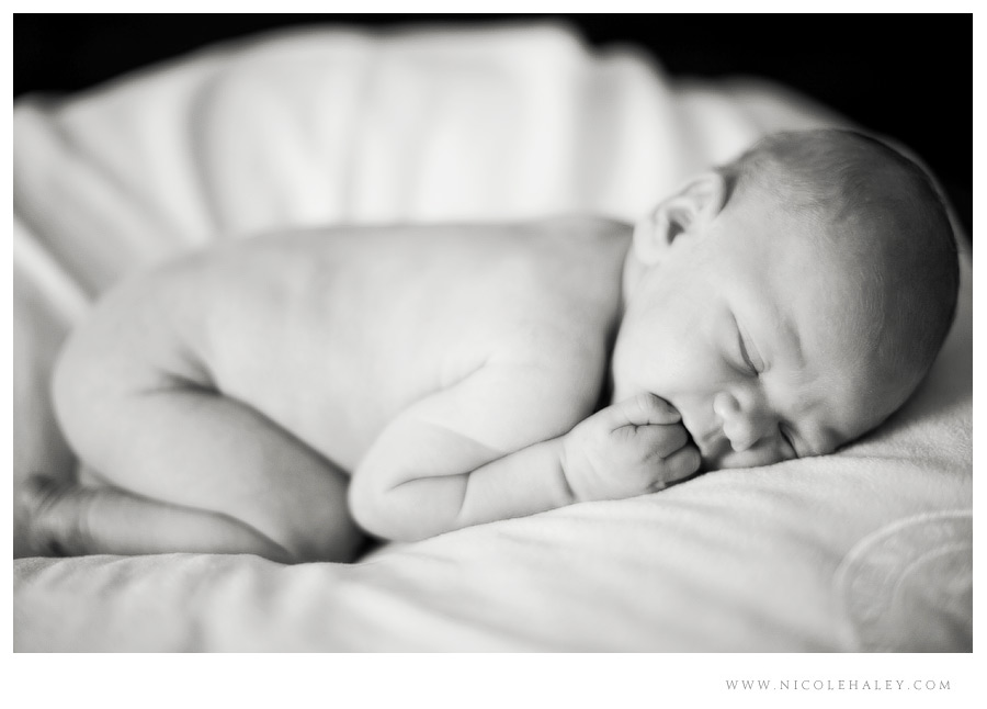 ann arbor newborn photographer