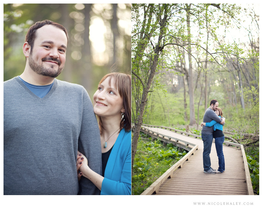 Ann Arbor wedding photographer, arboretum engagement photos