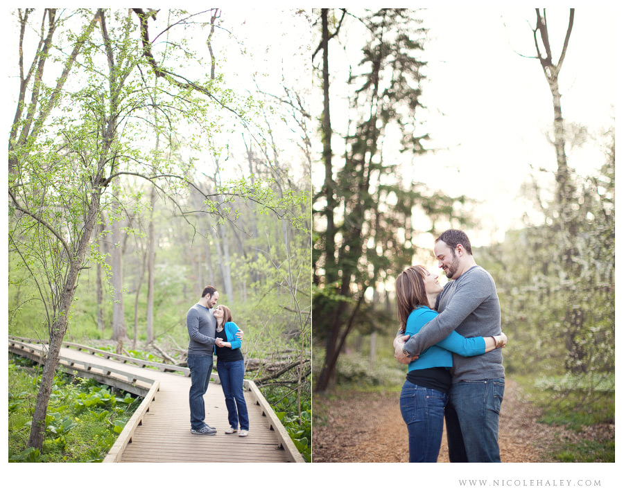 Ann Arbor wedding photographer, arboretum engagement photos