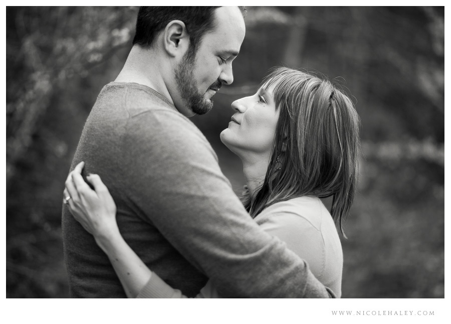 Ann Arbor wedding photographer, arboretum engagement photos
