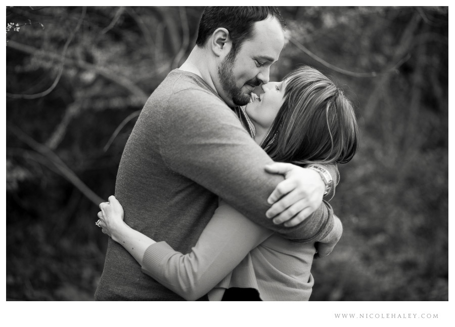 Ann Arbor wedding photographer, arboretum engagement photos