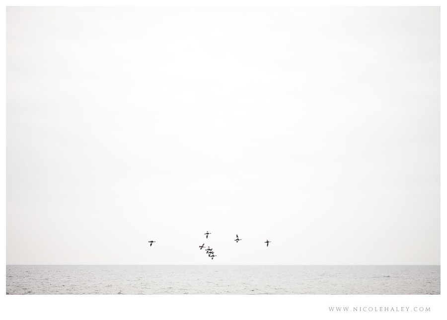 Lake Michigan, Saugatuck Photography