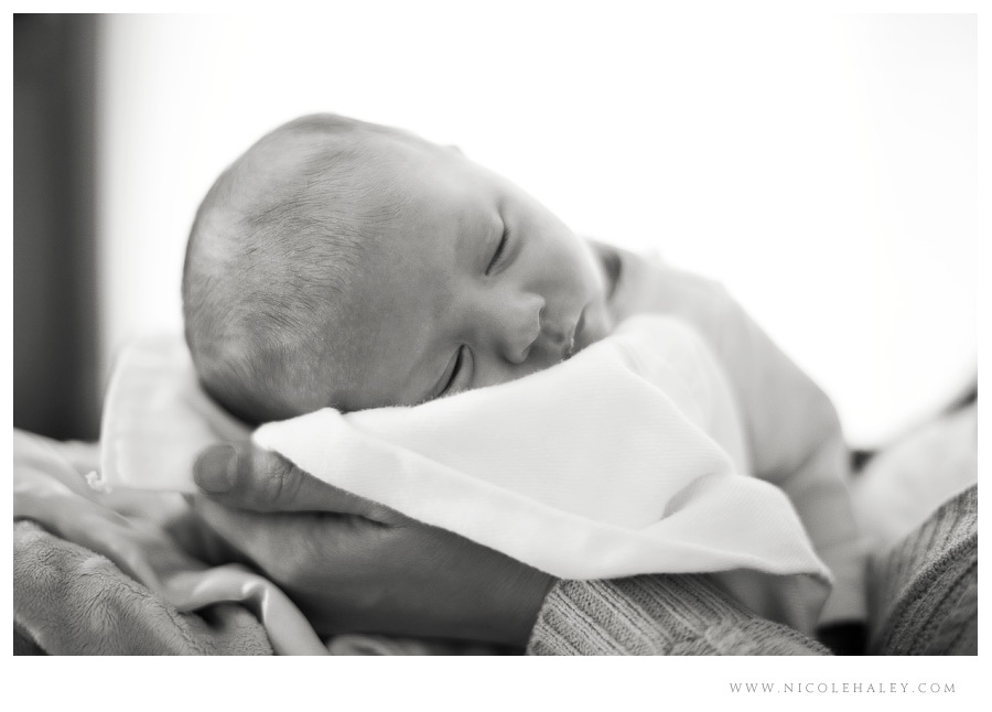 ann arbor newborn photography 12 Ann Arbor newborn photographer