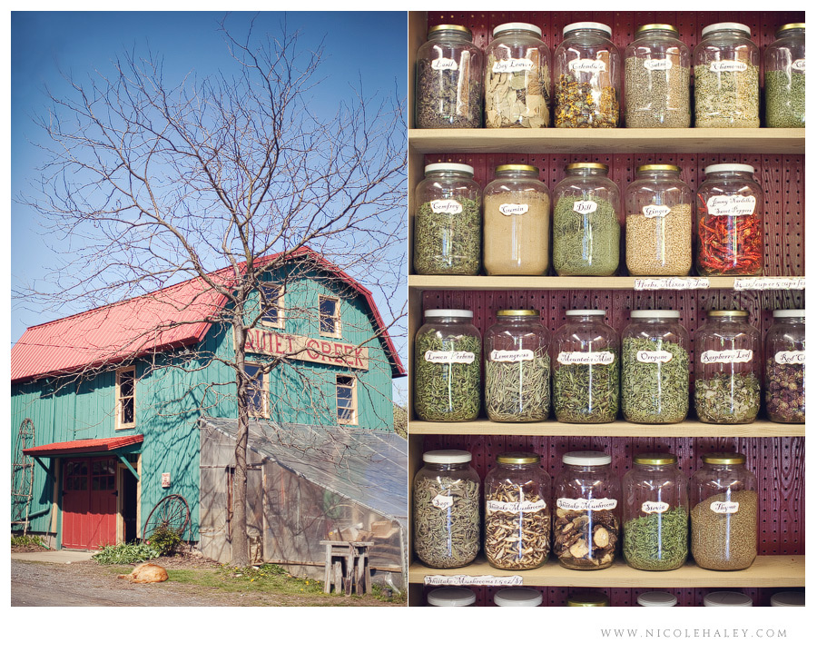 Quiet Creek Herb Farm - Nicole Haley Photography 