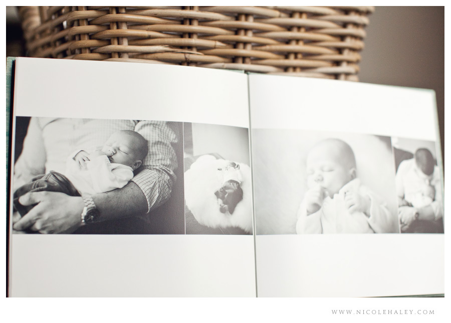 nicole haley photography - coffee table book