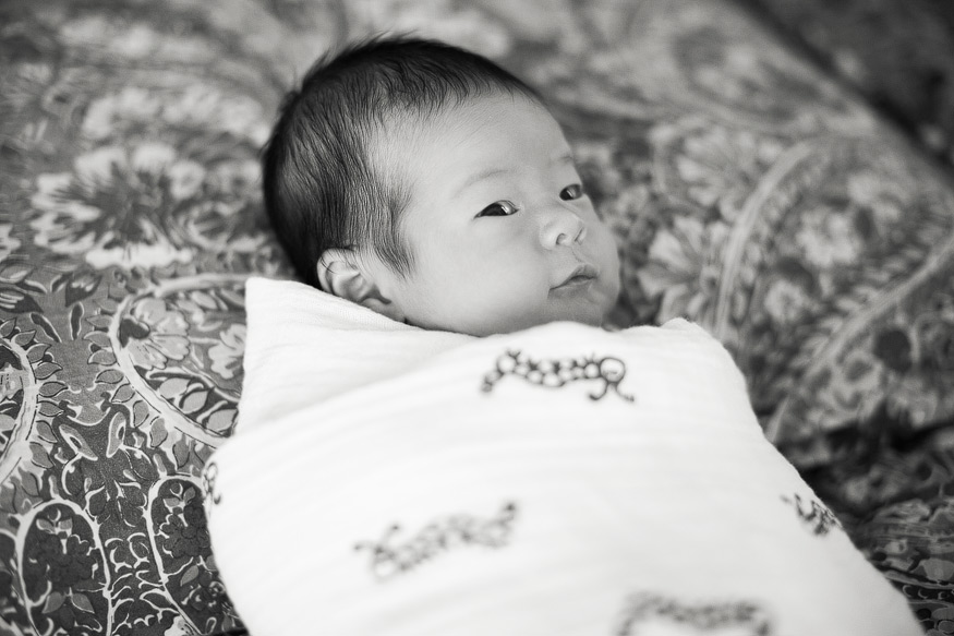 ann arbor newborn photographer