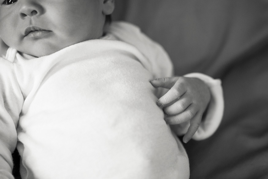 ann arbor newborn photographer