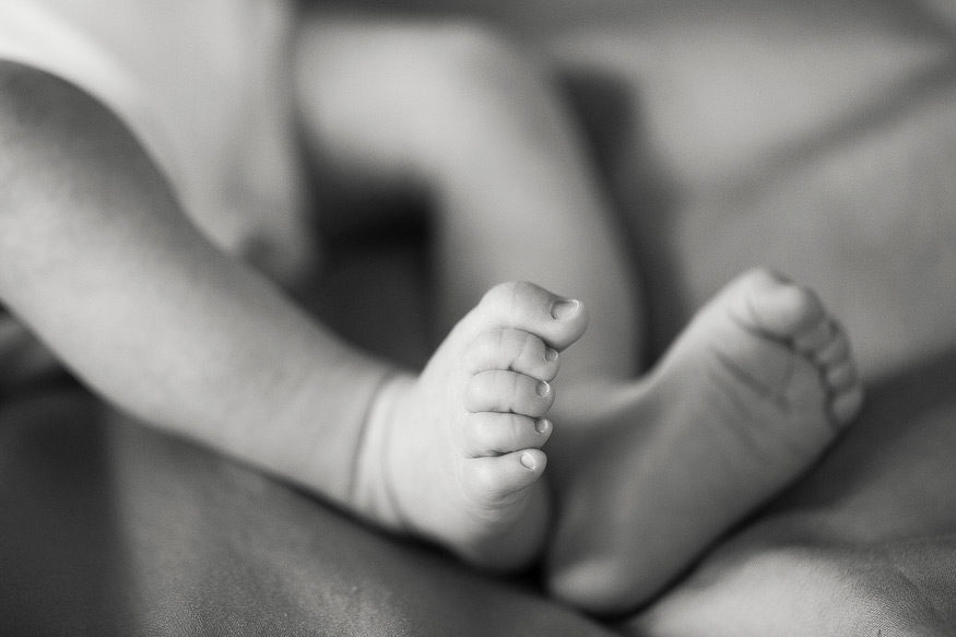 ann arbor newborn photographer