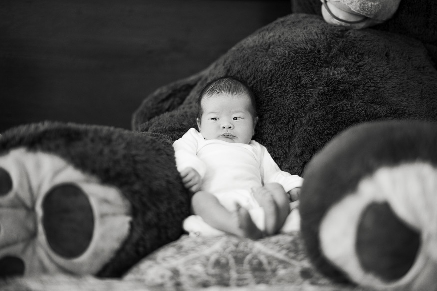 ann arbor newborn photographer
