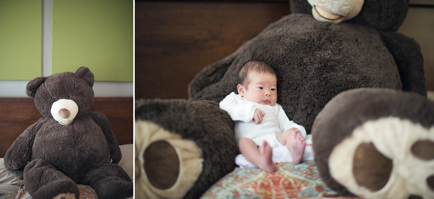 ann arbor newborn photographer