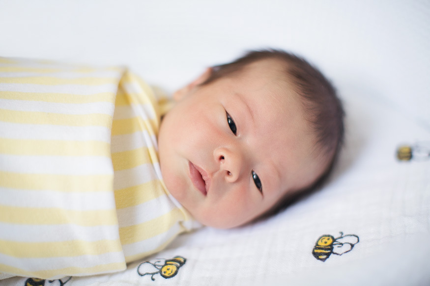 ann arbor newborn photographer