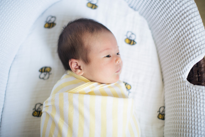 ann arbor newborn photographer