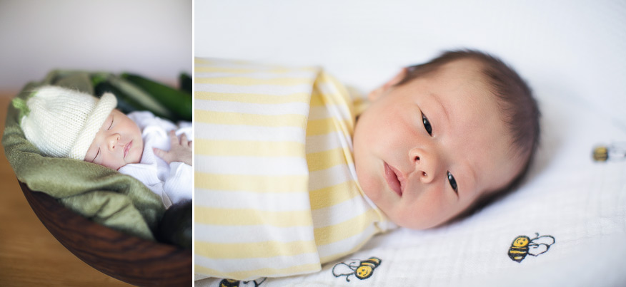 ann arbor newborn photographer